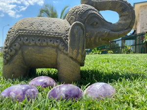 Amethyst Palm Stones