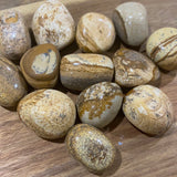 Picture Jasper Tumble Stones