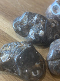 Turritella Agate Tumble Stones