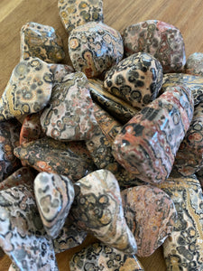 Leopard Skin Jasper Tumbled Stones