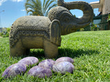 Amethyst Palm Stones